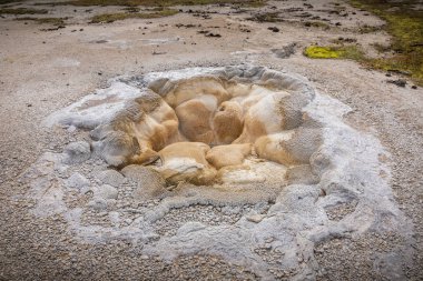 Susuz kuraklık havzası