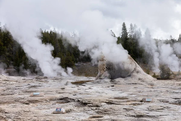 White steam exploding from big cone geyser — Stock Photo, Image