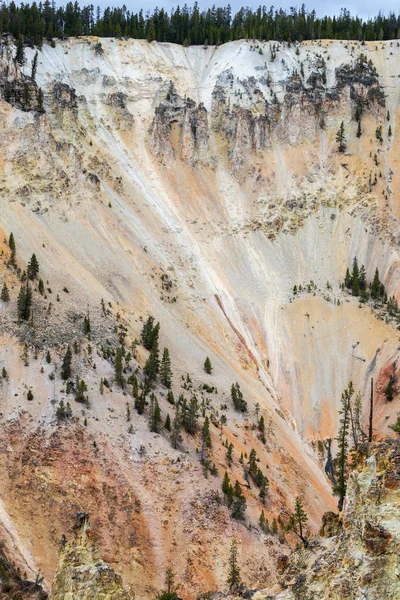 En la ladera del Gran Cañón de Yellowstone — Foto de Stock