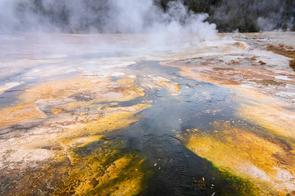 Geyser basin with boiling water from geothermal heat. — Stock Photo, Image