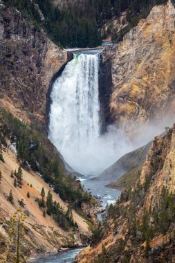 Yellowstone 'un Büyük Kanyonu' nun suları dökülüyor.