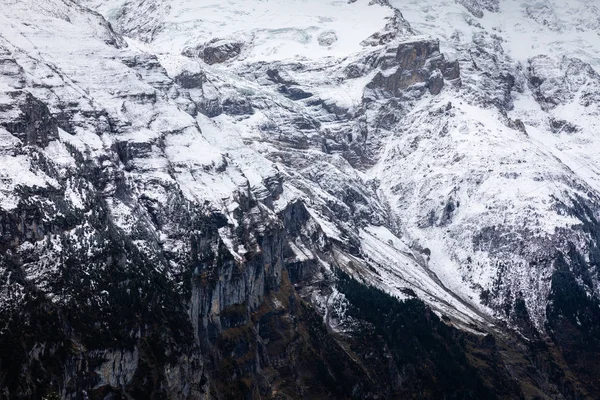 Acantilado rocoso de montaña en Jungfrau cubierto de nieve . —  Fotos de Stock