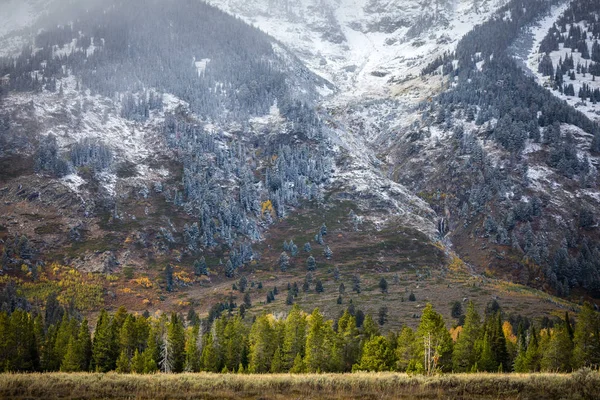 Montaña nevada de Yellowstone a principios de invierno . —  Fotos de Stock