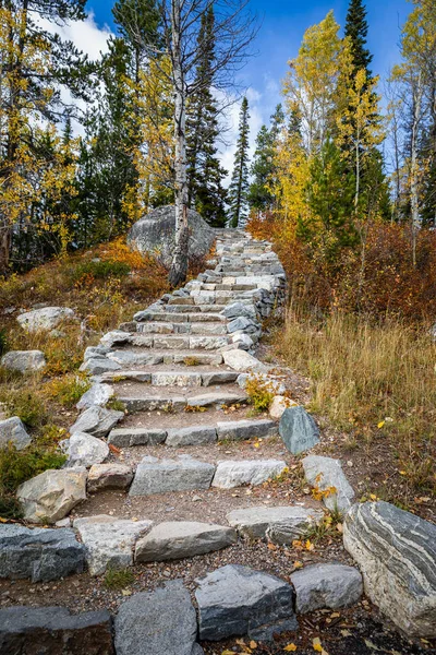 Outdoor stair made from stone inside forest.