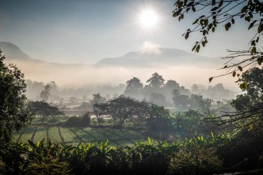 Doğa sisli Güneş ışığına dokunuyor.
