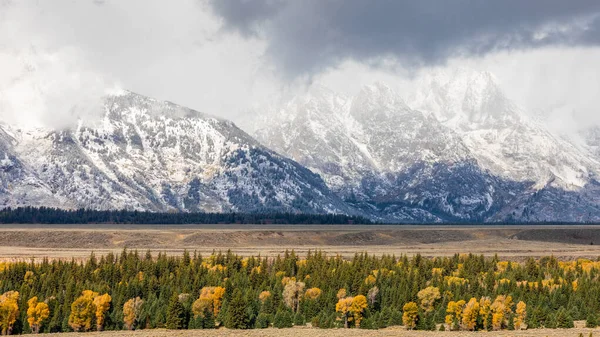 Grand Teton Ulusal Parkı 'nın sonbaharında ABD' nin Wyoming kentinde, Grand Teton Ulusal Parkı 'nın etrafı renkli ağaçlarla çevrili Grand Teton dağlarıyla kaplı dağları kaplıyor..