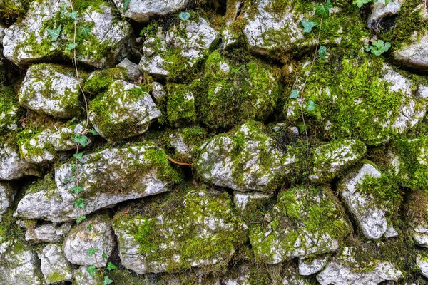 Hintergrundwand Aus Angeordneten Felsen Schichten Die Von Grünem Moos Bedeckt — Stockfoto