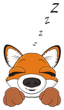 Namlu turuncu Fox