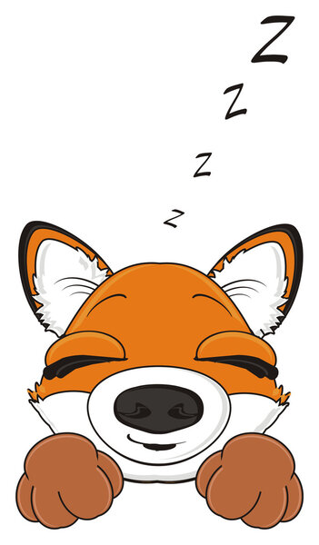muzzle of orange fox