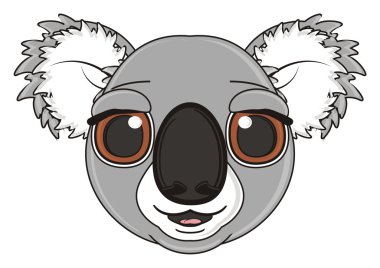 mutlu gri koala