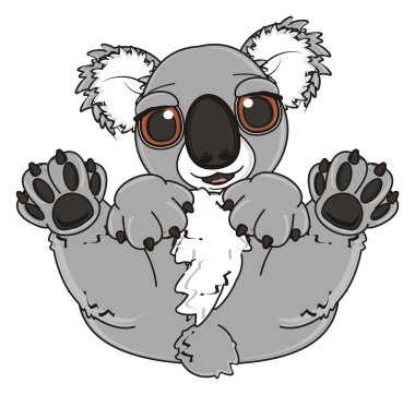 mutlu gri koala