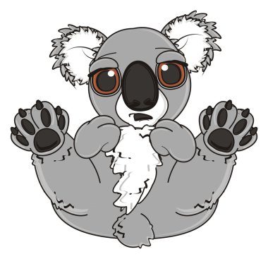 sürpriz namlu Koala