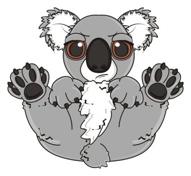 gri kötü koala