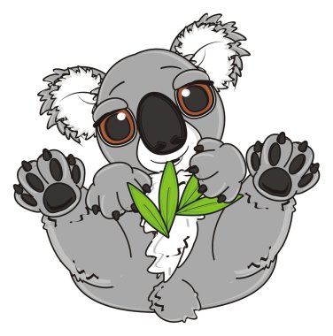 gri koala yemek