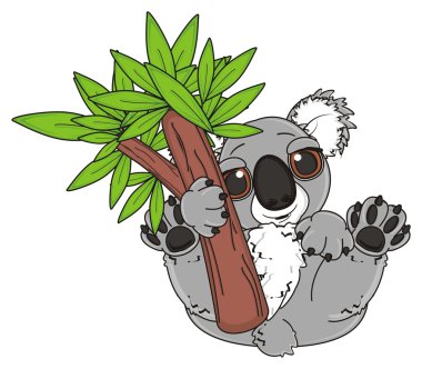 ağaç Koala