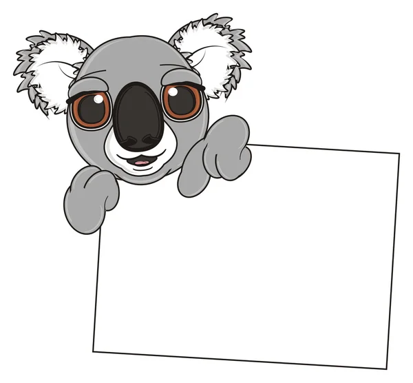 Koala con poster pulito — Foto Stock