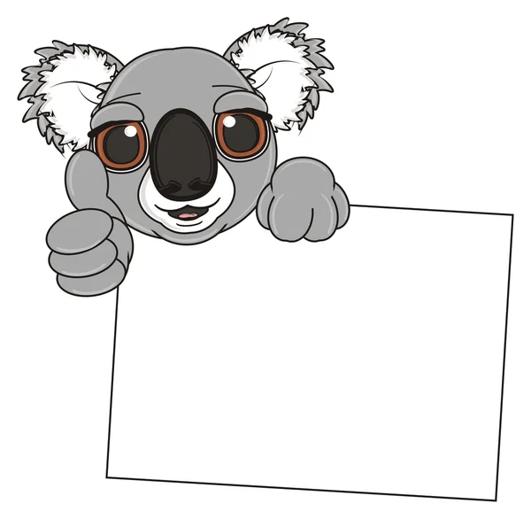 Koala met schone banner — Stockfoto