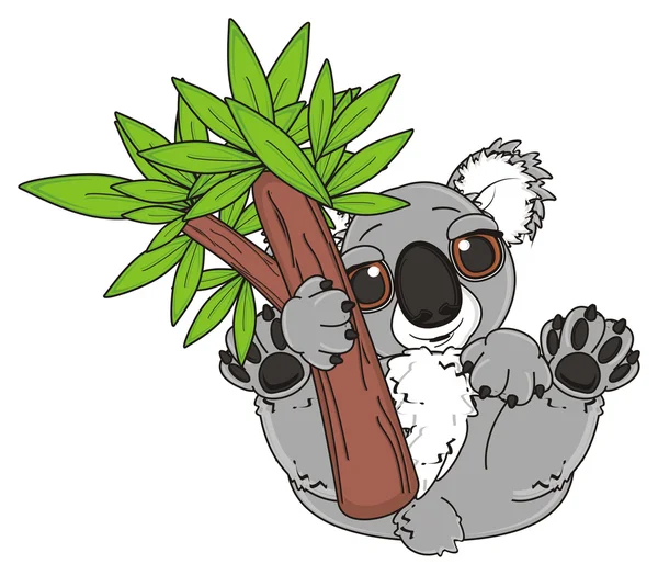 Koala με δέντρο — Φωτογραφία Αρχείου