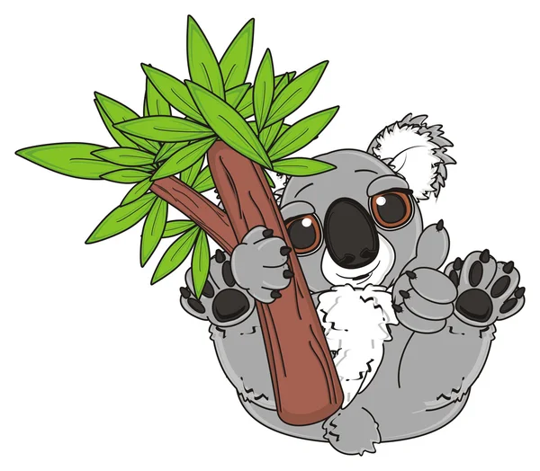 Koala κρατήστε ένα δέντρο — Φωτογραφία Αρχείου