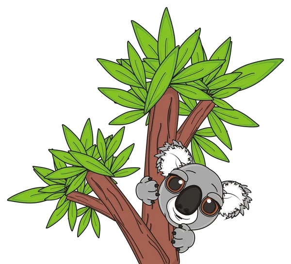 Koala на дереве — стоковое фото