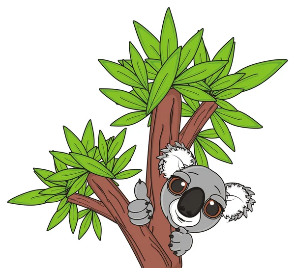 Koala на дереве — стоковое фото