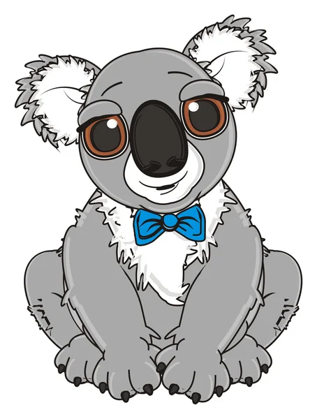 Γκρι koala αγόρι — Φωτογραφία Αρχείου