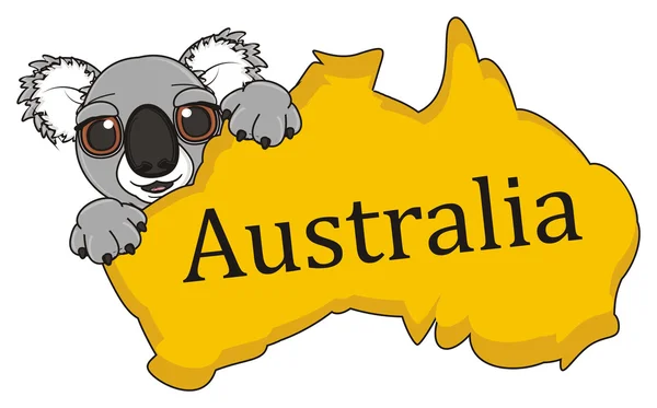 Koala vivent en Australie — Photo