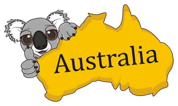 Koala leeft in Australië — Stockfoto