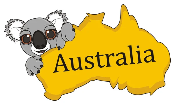 Koala leeft in Australië — Stockfoto