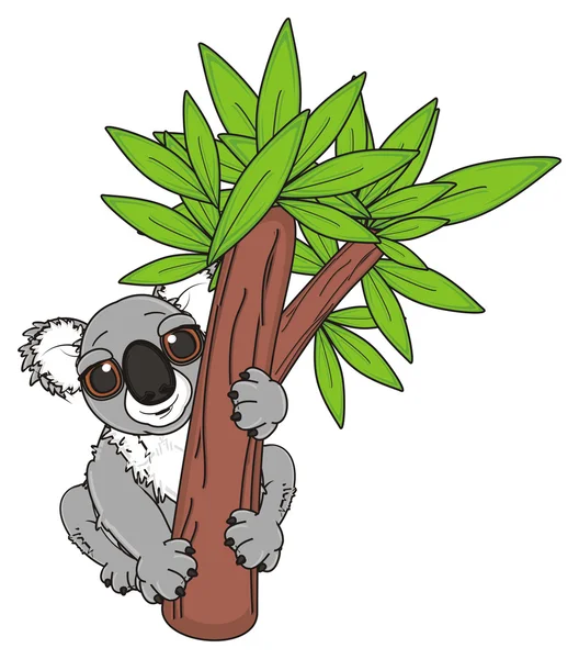 Koala en el árbol —  Fotos de Stock