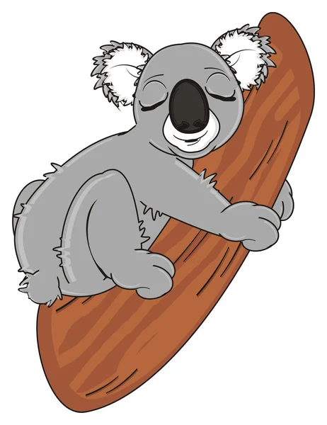 Funny koala sleeping — Stock Photo, Image