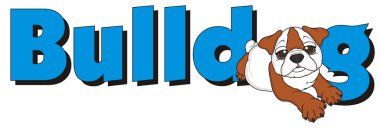 bulldog, şirin köpek yavrusu