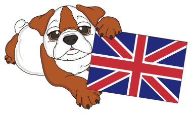 bulldog, şirin köpek yavrusu