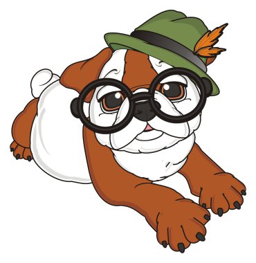 bulldog, şirin köpek yavrusu