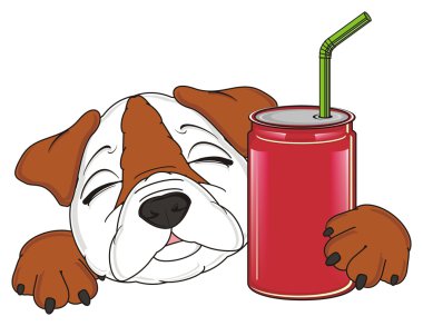 bulldog, şirin köpek yavrusu