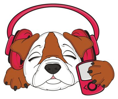bulldog, şirin köpek yavrusu