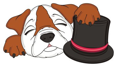 bulldog, şirin köpek yavrusu