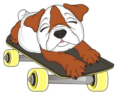 bulldog, şirin köpek yavrusu