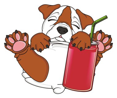 bulldog, şirin köpek yavrusu