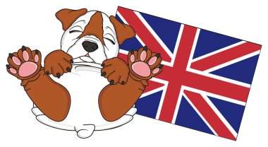bulldog, şirin köpek yavrusu