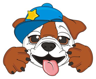 bulldog, şirin köpek yavrusu