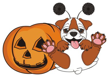 bulldog, şirin köpek yavrusu