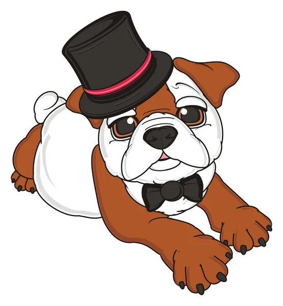 bulldog, şirin köpek yavrusu