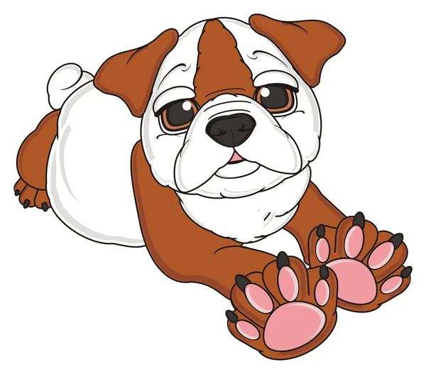 bulldog, şirin köpek yavrusu