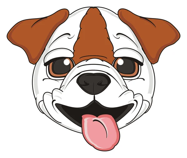 Bulldog, şirin köpek yavrusu — Stok fotoğraf