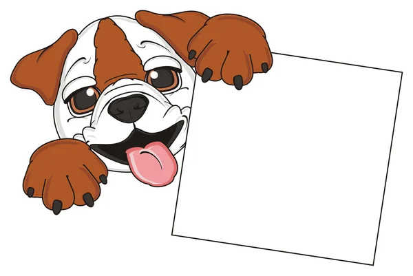Schattige puppy van bulldog — Stockfoto
