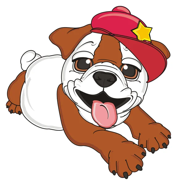 bulldog, şirin köpek yavrusu