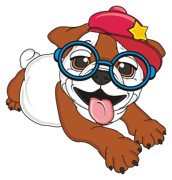 bulldog, şirin köpek yavrusu