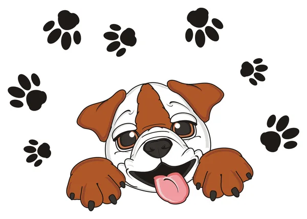 Schattige puppy van bulldog — Stockfoto