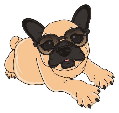 bej Fransız buldozer